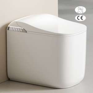BIKI E90 American Intelligent Toilet – With Heated Seat and Bidet, Auto Flush & Antibacterial Nozzle (Fake egg shape Smart Toilet)