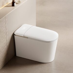 BIKI E75 Floor-Mounted Smart Toilet – Long-Profile Bidet Toilet